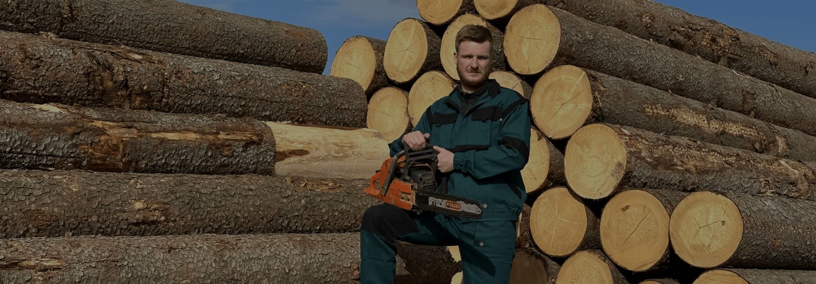 Pečlivě vybíráme dřevo z lokálních lesů pro další zpracování